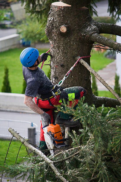 Lawn Watering Services in Gordon, NE