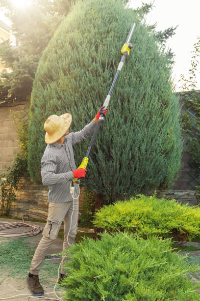 Best Tree and Shrub Care  in Gordon, NE